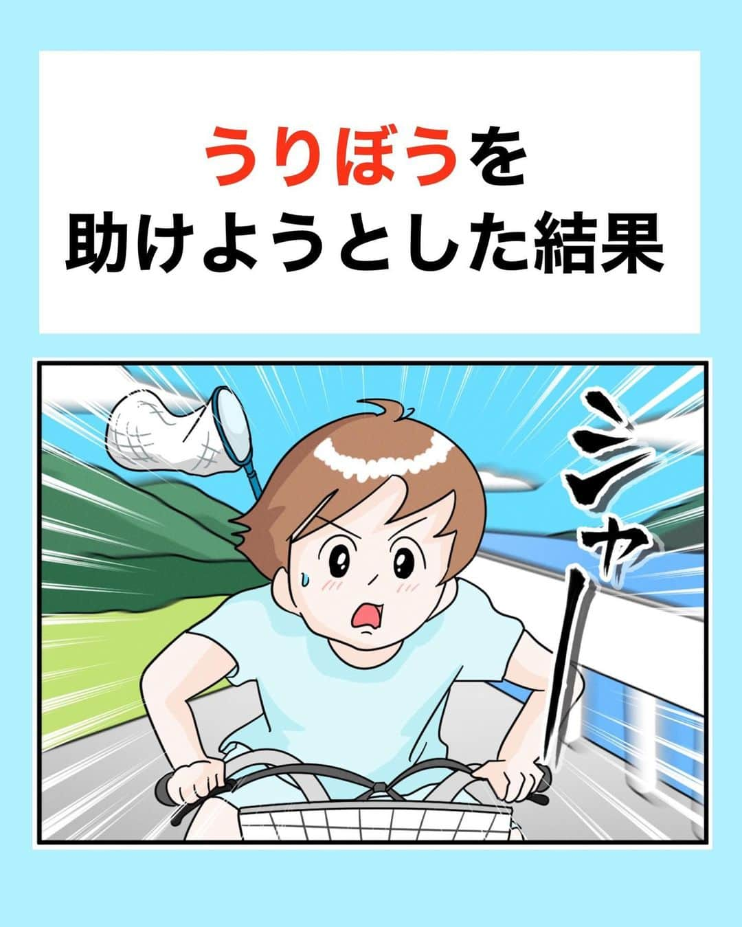 まりげ (marige)のインスタグラム：「出産前の話です！  敵とみなされたあんちゃん。  牙のない小さいうりぼうだったので足にタックルされたけどケガはしなかったみたいです！  このあと、あんちゃんと一緒に海岸を見に行ったけど、うりぼうはいなくなっていたので、なんとか段差の低いところを見つけて自力でのぼれたようです！  #うりぼう#田舎暮らし#四兄弟#絵日記#コミックエッセイ」