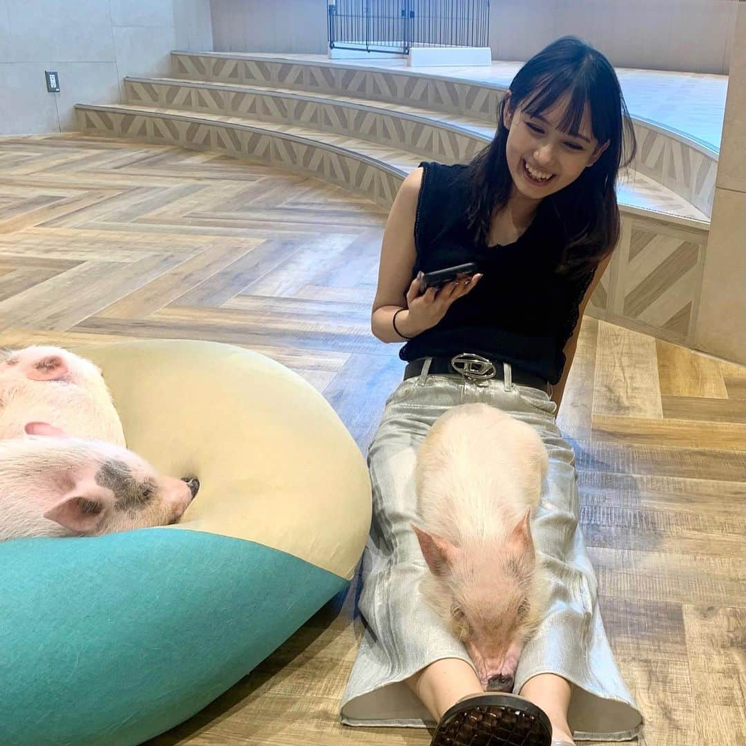 黒崎レイナさんのインスタグラム写真 - (黒崎レイナInstagram)「増えた🐖」10月18日 20時45分 - reinakurosaki_official