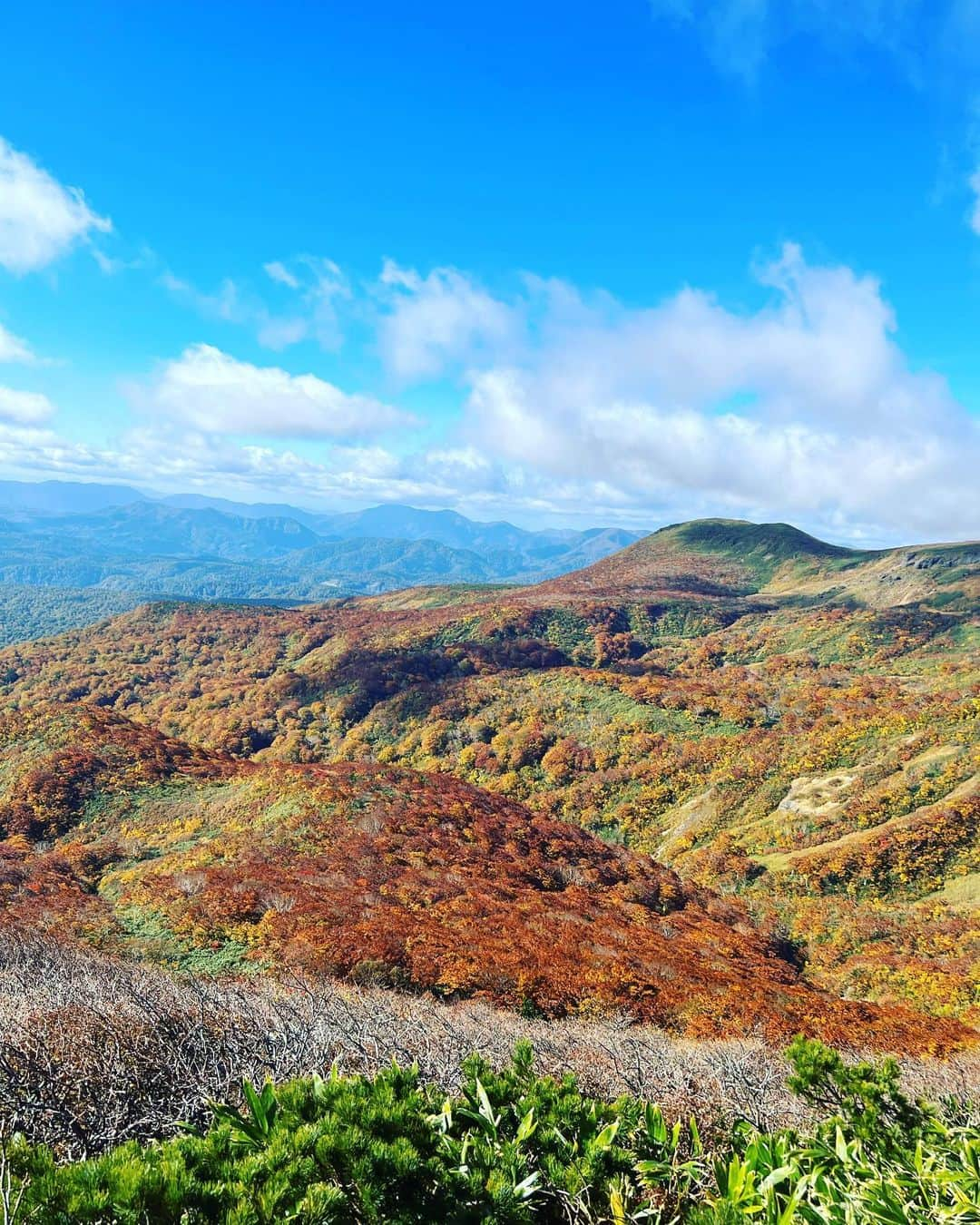 正隨優弥さんのインスタグラム写真 - (正隨優弥Instagram)「一人登山　　完 紅葉もう少しほしかった、、  #栗駒山 #いわかがみ平  #紅葉 #登山 #神の絨毯」10月18日 20時56分 - zui.l.zui