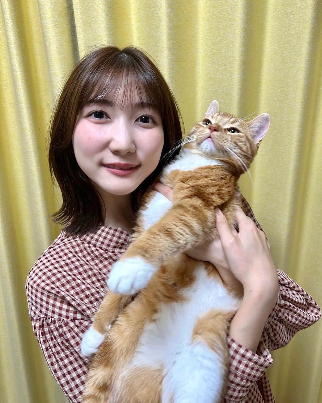 山﨑加奈さんのインスタグラム写真 - (山﨑加奈Instagram)「・ 髪切りました✌🏻 むにも大きくなりました🐈 ・ #相変わらず写真嫌い」10月18日 20時51分 - kana_yamazaki_sbs