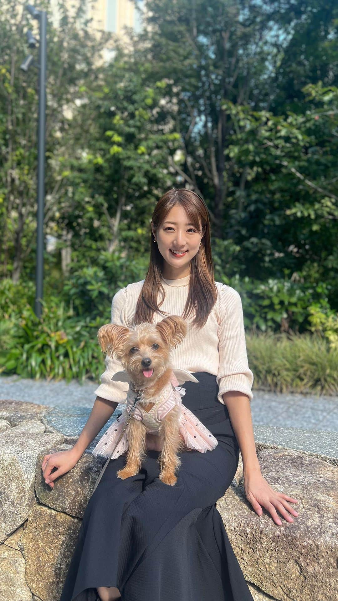 佐々木もよこのインスタグラム：「ポッケと秋のおさんぽ🐶🍂  1日ポッケのことを「オーマイプリティドッグ」って呼んでたんだけど、隣の人に聞こえていたようでした…  最近は、ぽっぴと呼ぶことも多いです🥰  まりえに撮ってもらいました🤍(@marie_soda_ )  #ポッケ#ポメプー#ポメプー部#ミックス犬 #いぬすたぐらむ #いぬのいるくらし#いぬ好き #ふわもこ部 #うちのこかわいい #ポメプーミックス# ポメプー女の子　#pomepoo」