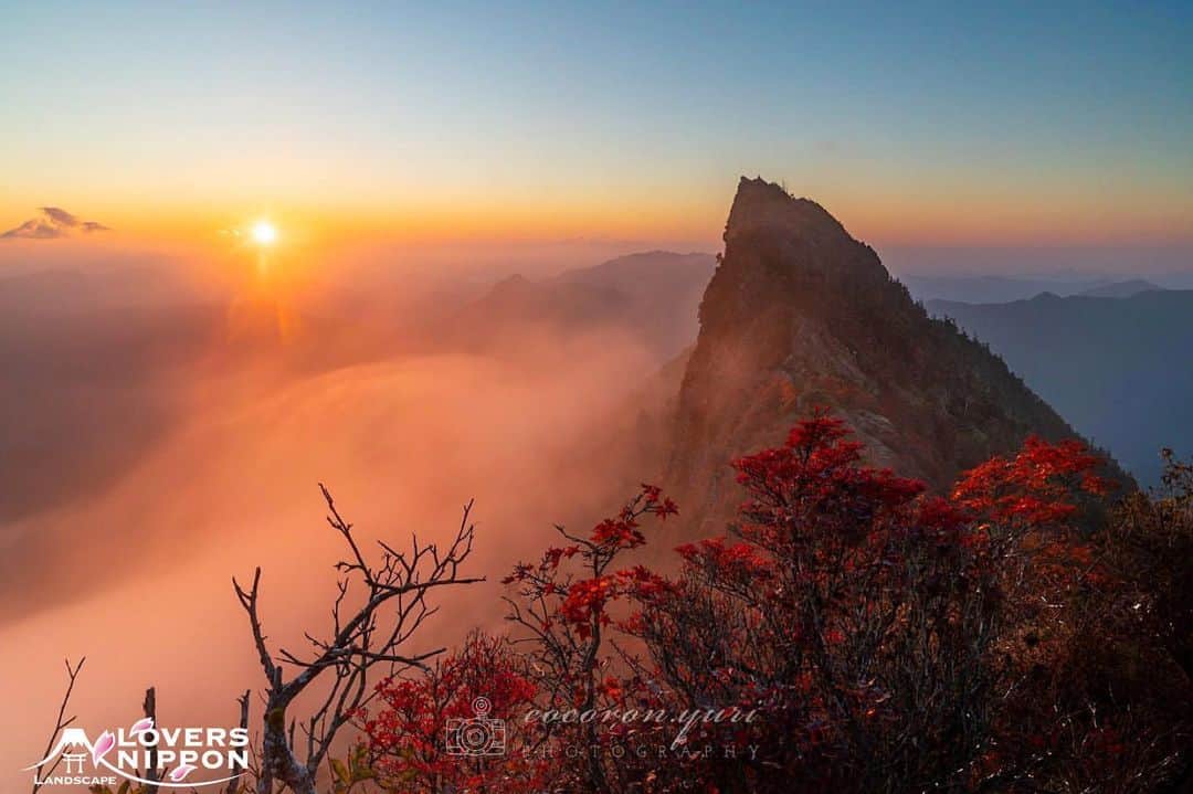 Only Japanese photographsのインスタグラム