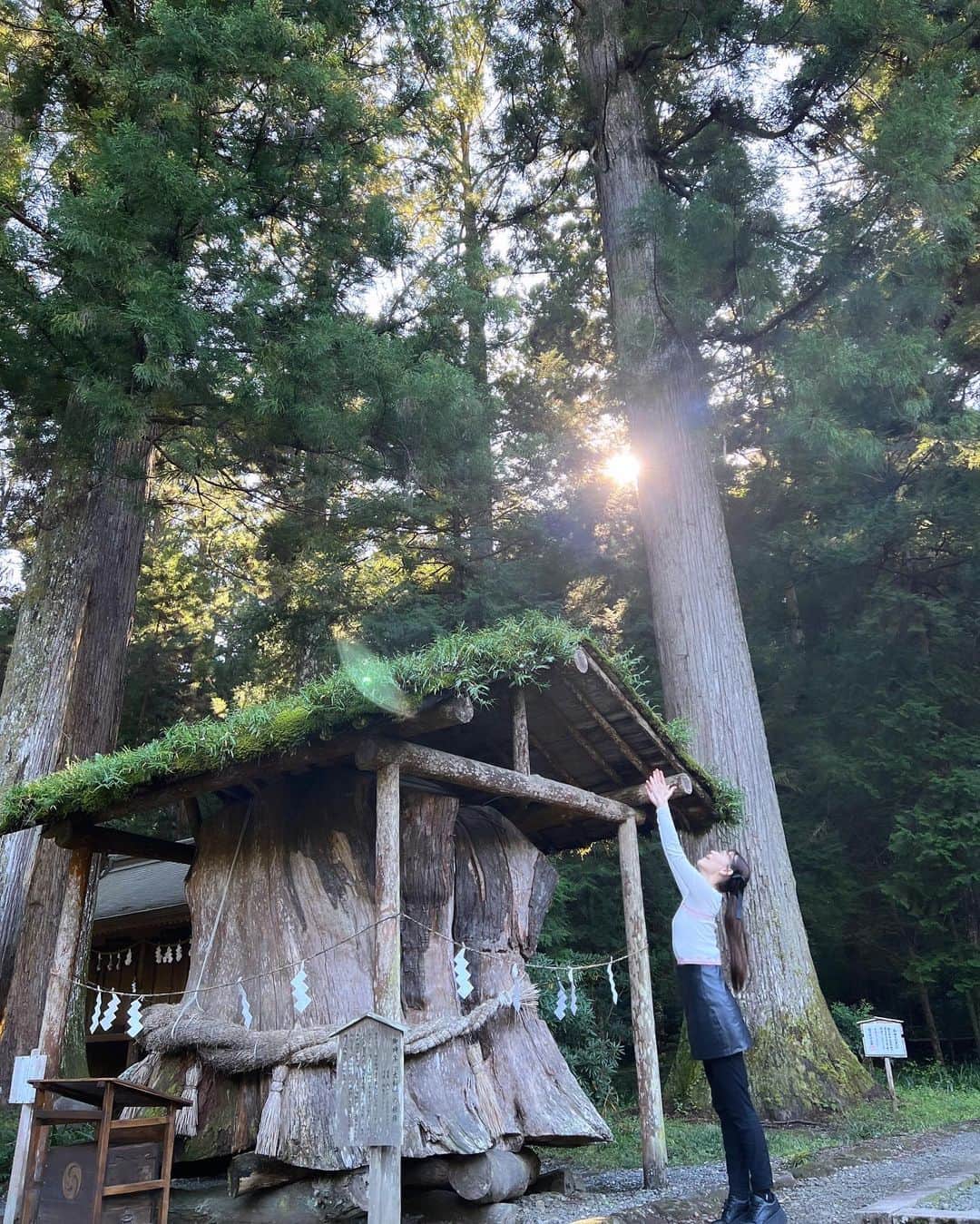 天玲美音さんのインスタグラム写真 - (天玲美音Instagram)「✨パワースポット✨ 大きな木の隙間から光も！ みなさまにもおすそ分けです☺︎  #パワースポット」10月18日 21時20分 - miontenrei