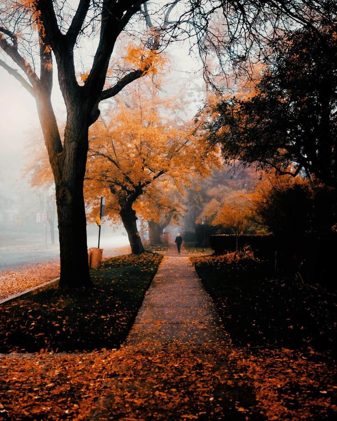 kaelのインスタグラム：「Does this picture feel spooky to you?  Or cozy?  Mysterioso?  Something else?」
