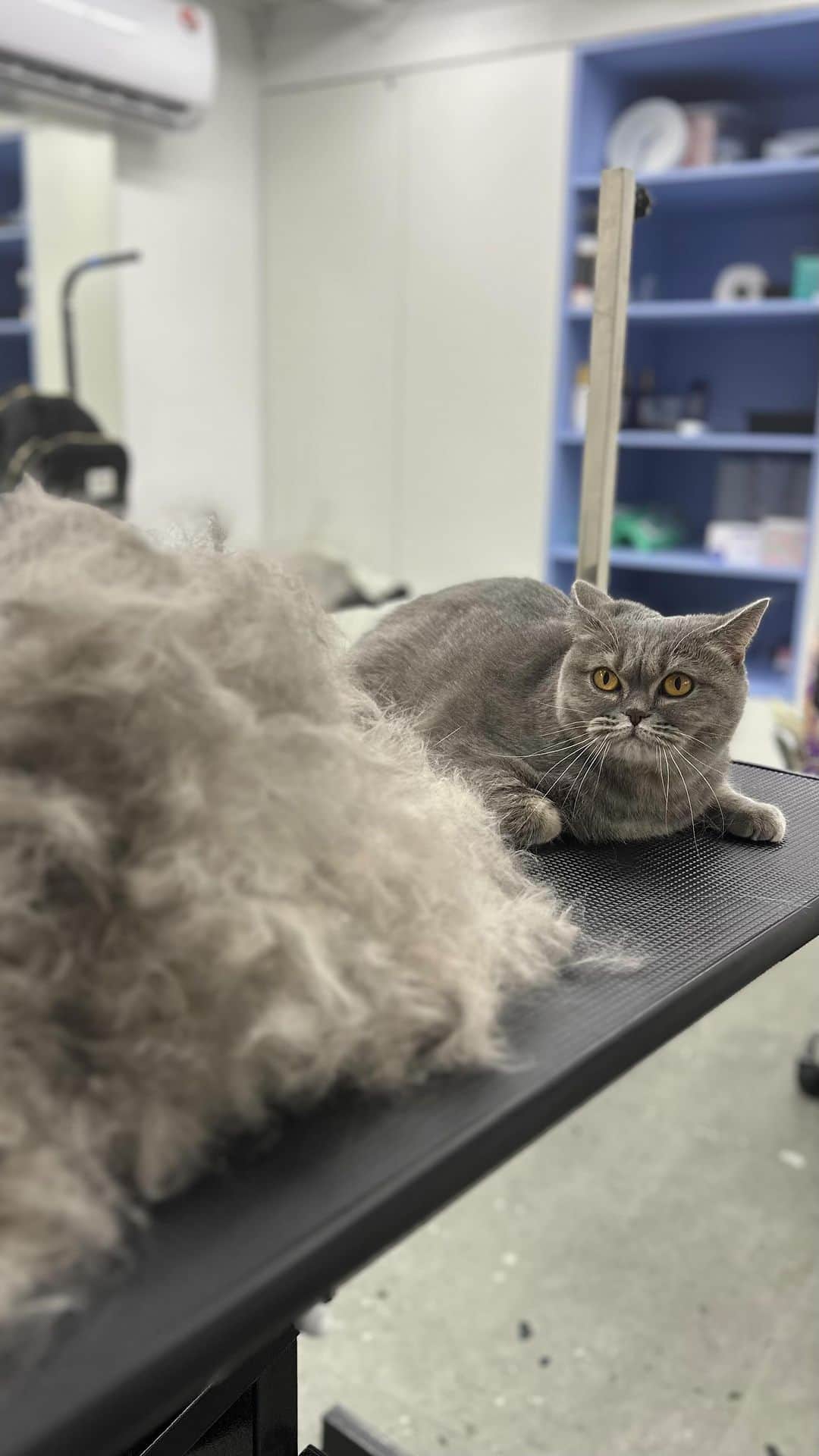 ナタリア・オブモチャエワさんのインスタグラム - (ナタリア・オブモチャエワ@natusi4ka8)