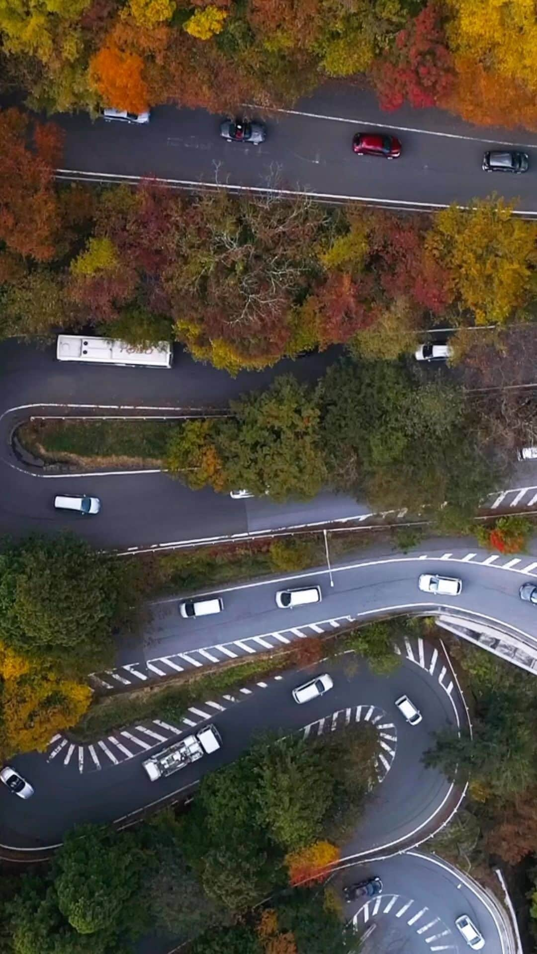 All Nippon Airwaysのインスタグラム：「Life has its twists and turns, but don’t forget to enjoy the #view. 🍁  What’s the latest sign you saw that told you summer is making its way to fall?」