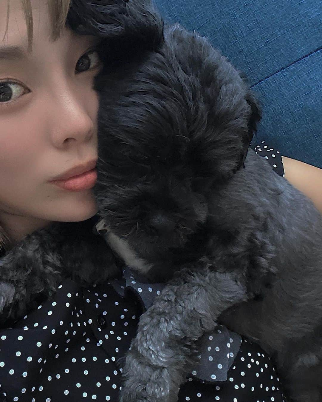 松井貴香さんのインスタグラム写真 - (松井貴香Instagram)「.  保護犬として我が家にやってきて もうすぐ2年🐕‍🦺  2年目にしてやっと 最近ベタベタしてきてくれるようになって 母は毎日嬉しいのである✌🏻💞 ツンデレなのか呼んで来ないこと全然あるけど笑  犬ってほんとかわいいよな〜 .」10月18日 22時28分 - kiko414_m