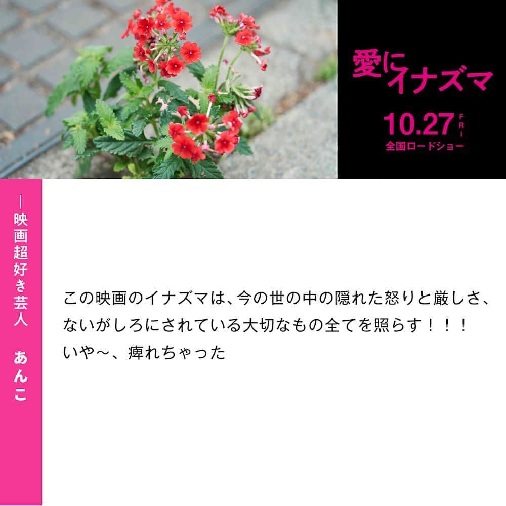 あんこのインスタグラム：「恐縮にもコメントさせて頂きました オススメですよ！！ 劇場へ是非」