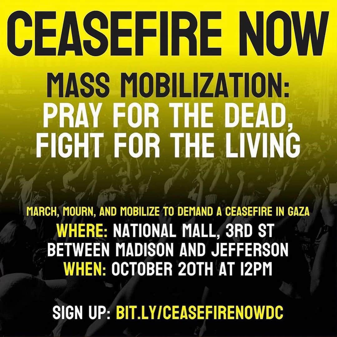 キャメロン・ラッセルのインスタグラム：「It should not be complicated to demand a ceasefire, condemn Hamas' violent attack on Israeli citizens, demand the safe return of hostages, demand water, electricity, humanitarian aid and workers be allowed to reach the 2.2 million Palestinians in Gaza. When we center nonviolence we must of course mean end Islamophobia, Anti-Semitism, casteism, all forms of dehumanization. No response will be perfectly informed, perfectly worded, or able to take away the immense pain and suffering. But Americans are implicated, our tax dollars and leadership have been and are a part of what is playing out today, and so I believe it is important we find imperfect ways to act and to say no more violence, end aparthied, stop genocide.   Slide 1: @rising_majority  Slide 2,3: screen cap from @a.alkateeb1 film Little Palestine: Diary of a Siege  Slide 4: United Nations Office if the High Commission」