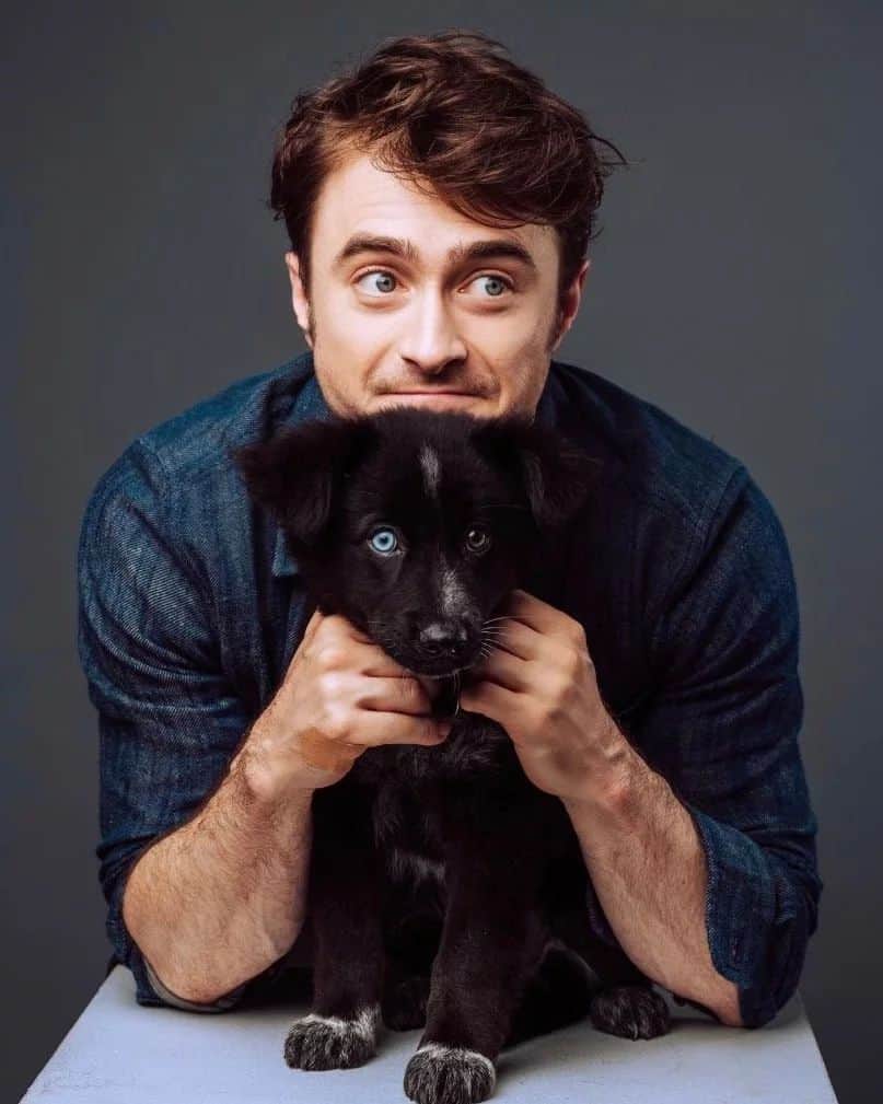 ダニエル・ラドクリフ（ファンアカウント）のインスタグラム：「Sirius Black」