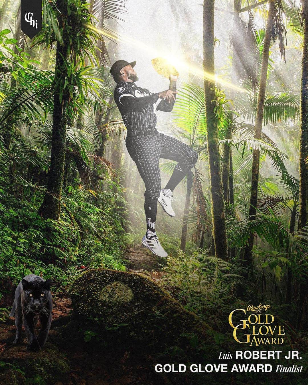 のインスタグラム：「⚠️ Beware of La Pantera ⚠️  @luisrobertm56 has been named a Gold Glove Award finalist!」