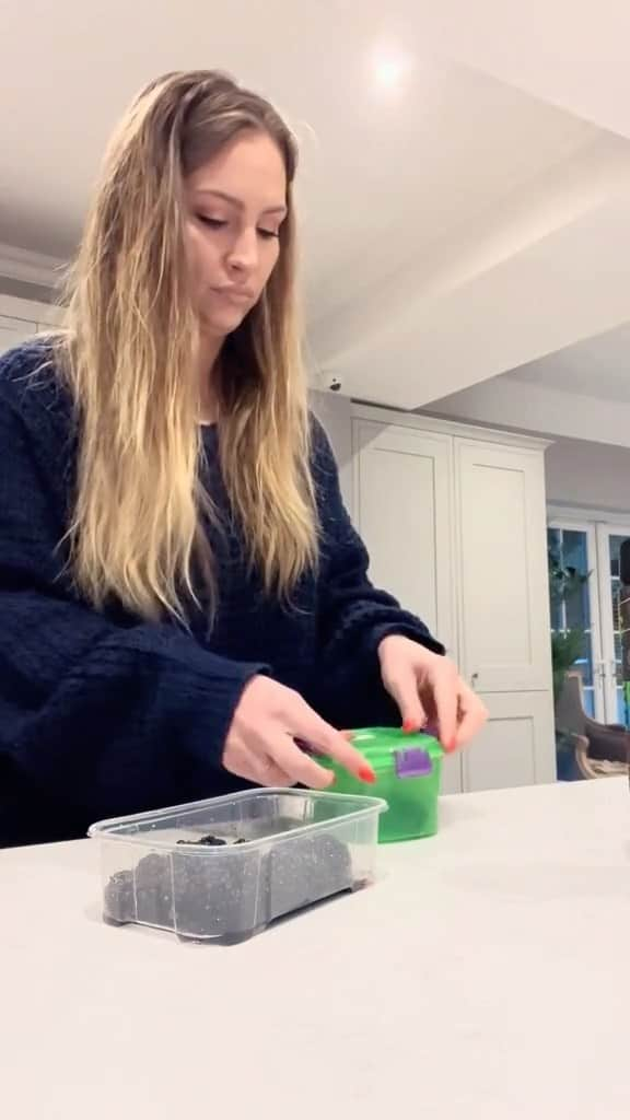 Anna Sacconeのインスタグラム：「Busy & chaotic 5am school morning routine (in the dark 🫠🌃) with 4 kids & 6 dogs! #morningroutine #5ammorningroutine #schoolday #momof4 #mommyvlogger #4kidsmama #momoffour #parentsofinstagram #momlife」