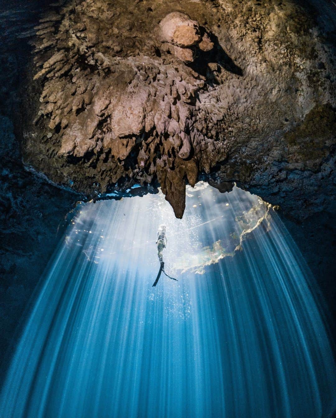 goproのインスタグラム：「Photo of the Day: Immersed in the elements 🤿 GoPro Subscriber @pepiaux earned $500 for submitting this cenote snap of @loraine_swann to GoPro.com/Awards.  #FunFact: Mexico's Yucatán Peninsula is riddled with limestone cave systems called "cenotes". These interconnected sinkholes are filled with some of the clearest water in the world + can contain over 200 miles of underwater caves.  @gopromx #GoProMX #GoPro #Diving #FreeDiving #Mexico #Cenote #UnderwaterPhotography」