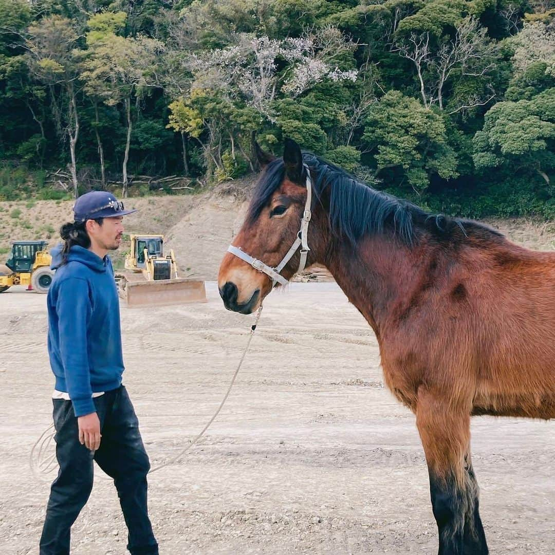 ヒデトレさんのインスタグラム写真 - (ヒデトレInstagram)「【ヒデトレ🐎LIFEEVO vol.5】   日時　10/27(金)10:00〜13:00  場所　LIFEEVO  「神馬と歩く」  ヒデトレと一緒にカラダを動かし身体の感覚を目覚めさせた後は、LIFEEVOにいる馬のヒビキと1対1で歩きます。  あえて細かい手法はお伝えしません。 各々がしっかり馬と対峙し言葉に頼らず、第六感、七感で他者、自分を知る感覚を味わってみませんか？」10月19日 6時25分 - hidetore