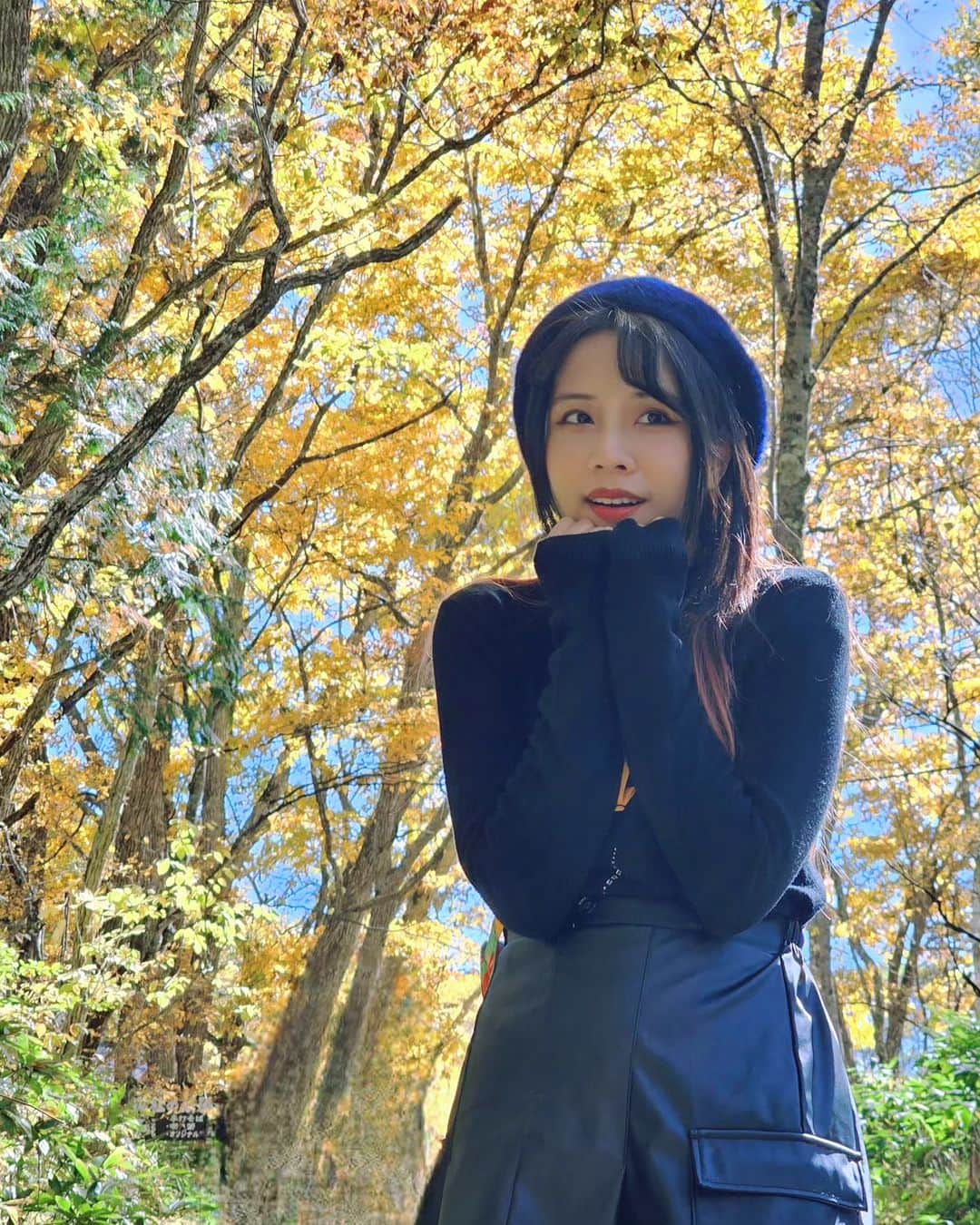 ビーム先生さんのインスタグラム写真 - (ビーム先生Instagram)「おはよー  แจกความหนาวเย็น ในป่าในเขาก็คือใบไม้เปลี่ยนสีพีคแล้ว พร้อมร่วง   #ญี่ปุ่น #เที่ยวญี่ปุ่น #nagano #alpico」10月19日 6時32分 - beamsensei