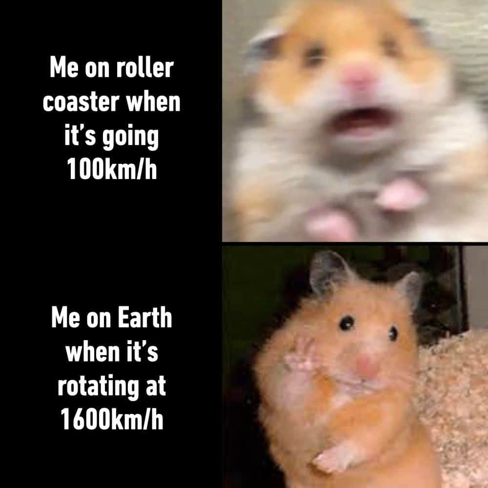 9GAGさんのインスタグラム写真 - (9GAGInstagram)「you spin my head right round, right round  - #rollercoaster #earth #speed #memes #9gag」10月19日 7時00分 - 9gag