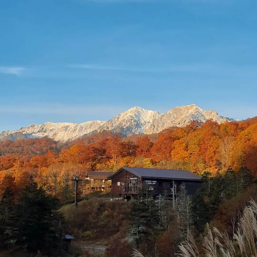 栂池高原スキー場のインスタグラム：「おはようございます。 つがいけゴンドラの朝一情報です。  天候　晴れ 気温　5.4℃ 風速　0m/s  冷え込んでいます。 今日も1日天気良さそうです。 秋の空気を感じに、ぜひお越しください。  ご来場お待ちしております。  ━━━━━━━━━━━━ Good morning.  Tsugaike Gondola Lift information for this morning.  Weather　Sunny Temperature　5.4℃ Wind speed　0m/s  The temperature is getting colder. It seems like today will be another sunny day! Visit Tsugaike and feel the clear air of autumn! We are waiting for you at Tsugaike Mountain Resort.  #中部山岳国立公園 #栂池自然園 #北アルプス #白馬山麓 #長野県 #白馬つがいけWOW！ #白馬 #栂池高原スキー場 #栂池高原 #栂池 #ロープウェイ #つがいけマウンテンリゾート #tsugaike #hakuba #絶景 #子連れ #家族の時間 #ファミリー #こどもとおでかけ #トレッキング #キャンプ #ドッグラン #アクティビティー」