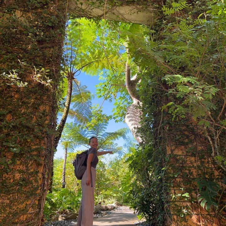 高松いくのインスタグラム：「行って良かった‼️  🌳🌺《熱帯ドリームセンター》🌴🦋  沖縄/本部町/備瀬 🐟『美ら海水族館』🦈の施設に隣接されていて  プラネタリウム🪐のある海洋文化館も✨  まずは、3分ほど 熱帯ドリームセンターをご紹介‼️  ほんっっっとに行って良かったーーー🥺✨  最高の休日になりました🥰  10分バージョンは、YouTubeに投稿しておきます。 ご興味があれば、全編お楽しみください❤️  #沖縄　#観光 #熱帯ドリームセンター #熱帯 #蘭　が❗️ すごい😍 #花　#植物　 #flowers #flower #okinawa #trip」