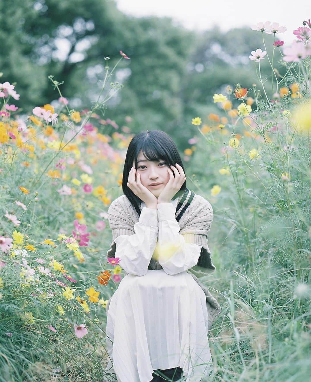 Masaのインスタグラム：「.  ▶︎▶︎▶︎ Swipe  1：Pentax6x7  Super Takumar 105mm F2.4 #pro400h   2-3：Nikon F3  Nikkor 50mm F1.4 #colorplus200  間に入れるコスモス畑はいいですよね☺️  今日は珍しく朝から大阪にイベントで外出。でお昼から軽食兼ねた懇親会があって、15時ぐらいに自宅戻って在宅って感じ。 かなり自由にさせてもらってます😌  撮影日 : 2023年10月14日  #まさペン#エビプリ #pentax6x7 #pentax67 #バケペン #中判フィルム #film #filmcamera #filmphotography #フィルム #フィルムカメラ#フィルム写真 #igersjp #portrait #ポートレート #filmisnotdead #滋賀 #shiga #コスモス #cosmos」