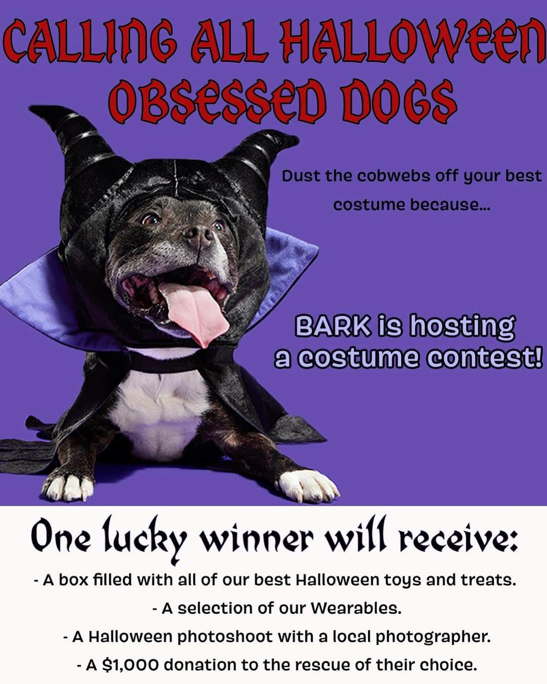 BarkBoxさんのインスタグラム写真 - (BarkBoxInstagram)「🚨CALLING ALL HALLOWEEN OBSESSED INDIVIDUALS 🚨 we want you (really your dog) to enter our dog costume contest! The winner will receive a bunch of toys, treats, and wearables along with a Halloween-themed photoshoot with a local photographer AND a $1,000 donation to the rescue of your choice. To enter, head over to the link in bio!」10月19日 7時36分 - barkbox