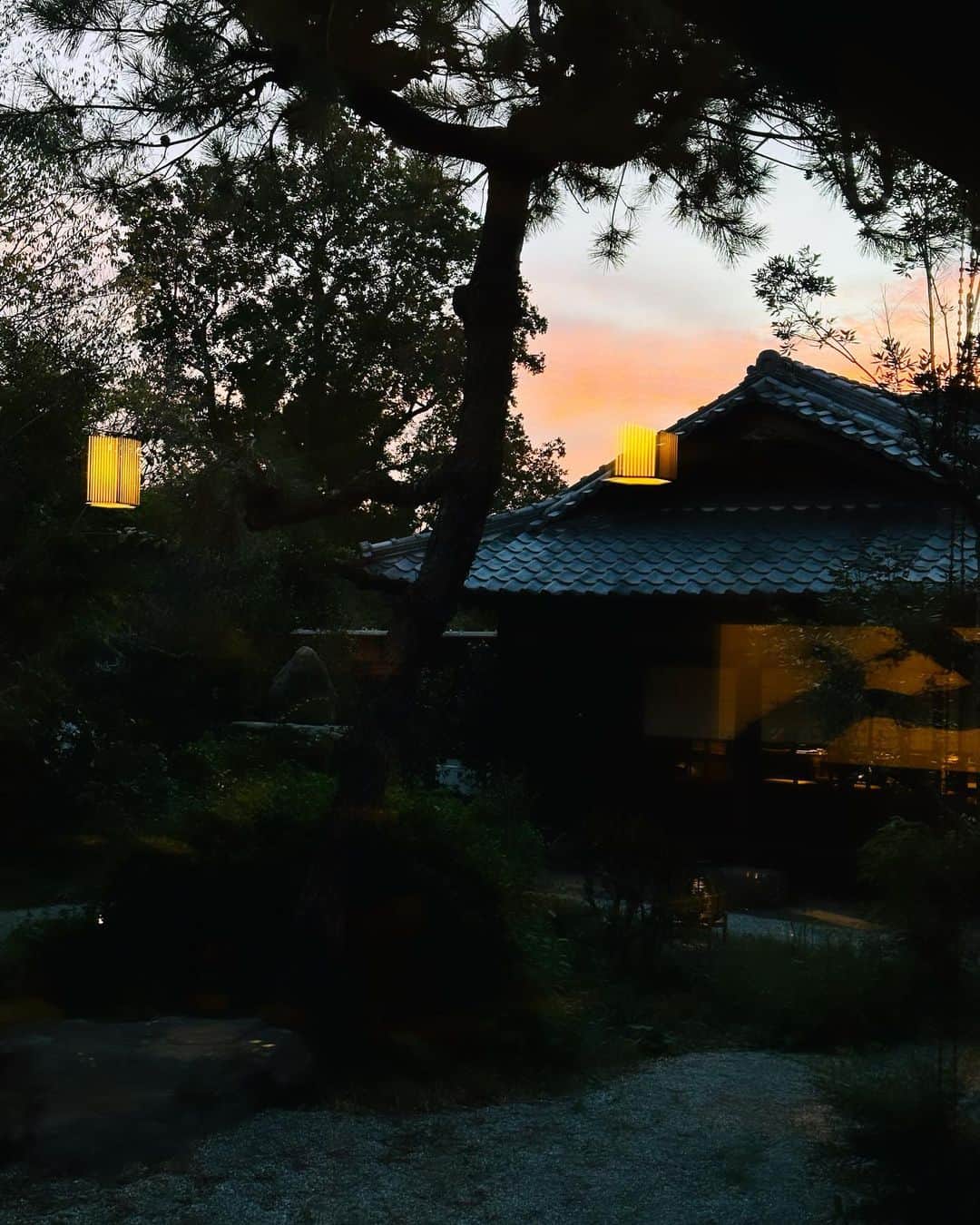 大草直子さんのインスタグラム写真 - (大草直子Instagram)「先日、長女👩と行った奈良の旅。小学校の修学旅行以来の奈良🦌でしたが、いやあ、楽しかった✨✨  東京🗼☞京都。この日は、ありがたいことにお迎えの車があったので、奈良まで３時間ちょっとで到着。お邪魔したのは、８月末にオープンしたばかりの、「紫翠 ラグジュアリーコレクションホテル 奈良」。 @shisuihotel_nara マリオットインターナショナル、31ヶ所あるラグジュアリーホテルの１つ。土地に物語がある場所にしか建てられないそうで、他は、ワイナリーのど真ん中とか、砂漠の中心とか🤓☺️奈良にストーリーがあるのはもちろん、メインビルディングは長く知事公邸として使われた由緒正しいもので、大正時代に建てられたのだそう。  本物の物語が、そこかしこに。宿泊するのは、路地を隔てた、新しい建物。私たちが泊まらせて頂いたジュニアスイートは、庭が見えて、静かで深くて、「ああ、奈良にいるんだな」と🍁奈良の山奥から運んだ温泉が、内風呂にー‼️‼️お部屋によるんだそう。  と、ここまで書いて、まだ伝えたいことがたくさん😆もう少し、お付き合いください。  夕飯の前、離れのカフェでシャンパーニュ🍾のフリーフローを楽しみ、いよいよ母屋のメインダイニングで夕飯。フランスで修行を積んだシェフが、奈良の伝統料理、地場の食材を使ったinnovativeなお料理は、目にも美しく、さらに量もちょうど良い‼️だから、次の日の朝ごはんも美味しくペロリ😋  その後、近くの東大寺まで散歩🚶‍♀️。  え、大仏、こんなに大きいんだっけ😆😆と、改めて驚いた次第です。  スパはお邪魔できなかったので、次こそは！と思っています。奈良公園のすぐ近くに位置し、東大寺、興福寺、春日大社まで徒歩圏内ですが、一本路地を入るので、本当に静か。いやあ、絶対また行きたい。奈良への旅を考えている方は、ぜひ🩵🤎🦌🦌  #紫翠ラグジュアリーコレクションホテル奈良  #紫翠  #奈良  #theluxurycollection  #PR #行ったときさ #opaquedotclip のブラウスに #drawerのジレ #protagonistas のニットパンツ #pellicoのローファー #２日目は #christianwijnants のワンピース👗に #ジレを重ねて」10月19日 7時52分 - naokookusa