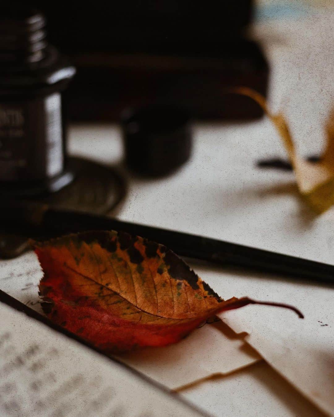Catharine Mi-Sookさんのインスタグラム写真 - (Catharine Mi-SookInstagram)「Pleasantries and panacea.  All my words, it seems, are saved for spaces where presence and connection hold the floor before a word is even spoken. Perhaps those are the best places for words to be released. I made another pie today to put a little sweetness on our table. The boy gathered some fallen leaves today and brought sweetness to mine.」10月19日 8時26分 - catharinemisook