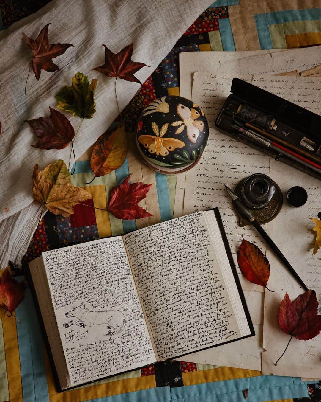 Catharine Mi-Sookさんのインスタグラム写真 - (Catharine Mi-SookInstagram)「Pleasantries and panacea.  All my words, it seems, are saved for spaces where presence and connection hold the floor before a word is even spoken. Perhaps those are the best places for words to be released. I made another pie today to put a little sweetness on our table. The boy gathered some fallen leaves today and brought sweetness to mine.」10月19日 8時26分 - catharinemisook