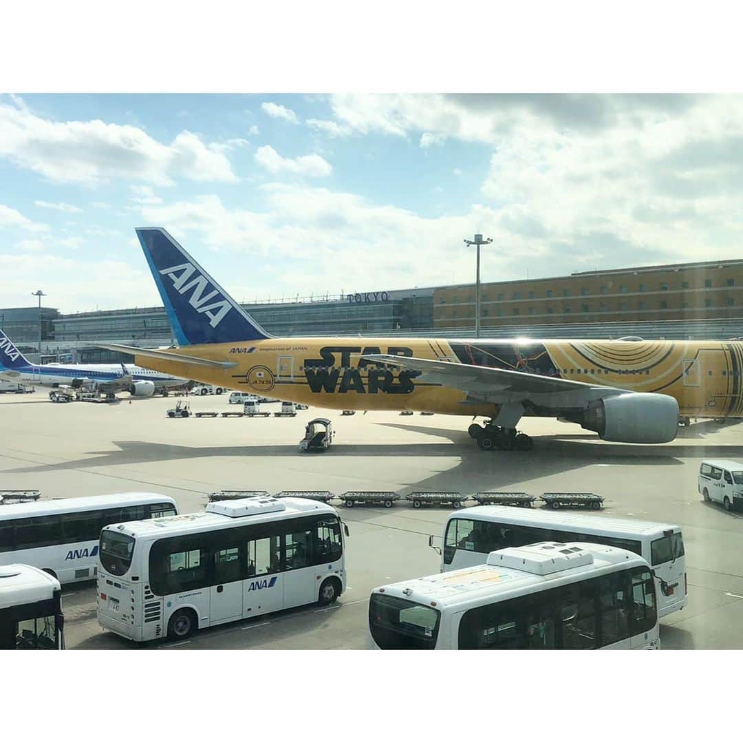 井山三希子のインスタグラム：「・ 昨日から札幌入り この機体に乗りたかったけど 札幌ではセワポロロがお向かいに 明日からの設営と打ち合わせから そのまま滝川の鮨おくのさんへ もう幸せですっかり打ち上げ気分…」