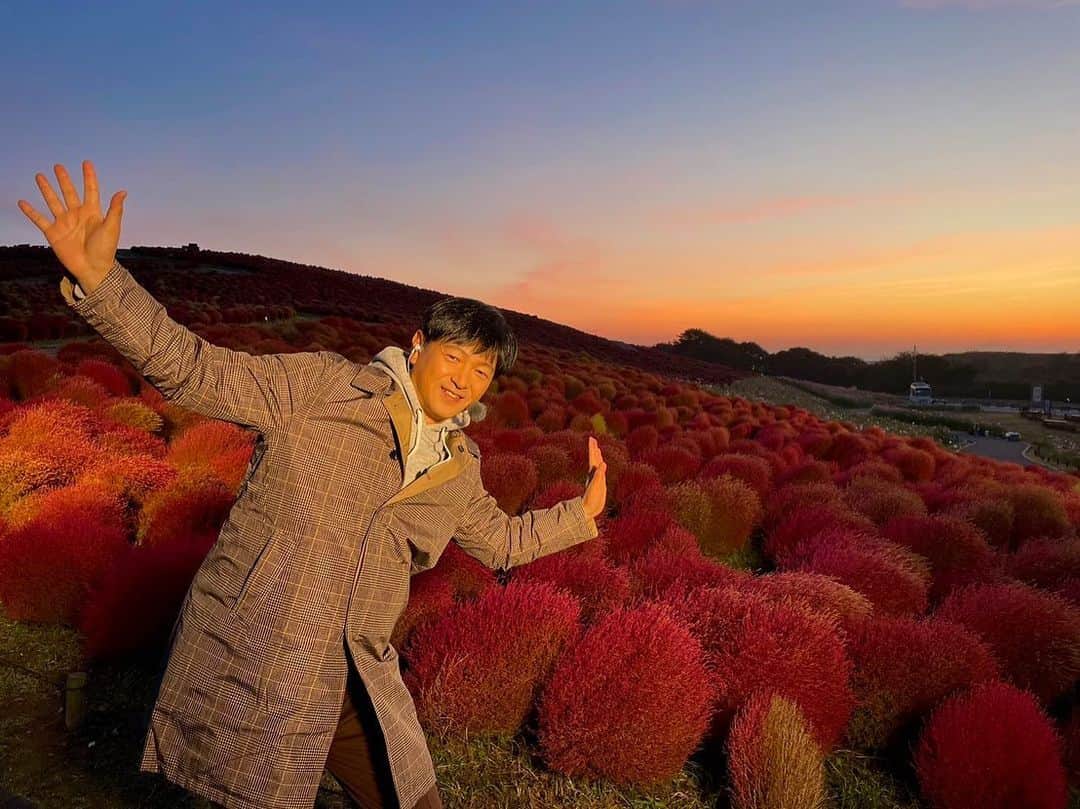 依田司さんのインスタグラム写真 - (依田司Instagram)「10月19日（木） 茨城県ひたちなか市の「国営ひたち海浜公園」から。 こちらには約33,000本のコキアが植えられ、今年も紅葉の見頃を迎えました。 「みはらしの丘」を赤く染めあげるコキア。午前中のコキアは瑞々しくて爽やかで、西日を浴びた夕方のコキアはよりいっそう鮮やかだとも言われ、時間帯によってさまざまな色味のコキアを楽しめます。 紅葉の見頃は来週前半頃までで、その後、次第に黄金色へと変わっていきます。 今月３１日まで「コキアカーニバル」を開催中で、コキアをモチーフにしたフードメニューも楽しめますよ。  #ひたち海浜公園 #コキアの紅葉#DoCLASSE #ドゥクラッセ #依田さん #依田司 #お天気検定 #テレビ朝日 #グッドモーニング #気象予報士 #お天気キャスター #森林インストラクター #グリーンセイバーアドバンス #プロジェクトワイルド #IPCC伝導者 #japan #japantrip #japantravel #unknownjapan #japanAdventure #japanlife #lifeinjapan #instagramjapan #instajapan #療癒 #ilovejapan #weather #weathercaster #weatherforecast」10月19日 8時53分 - tsukasa_yoda
