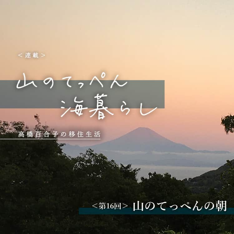 ecomfort（エコンフォート）さんのインスタグラム写真 - (ecomfort（エコンフォート）Instagram)「イーオクト（株）代表・高橋百合子が綴る連載「山のてっぺん 海暮らし」第16回をアップしました。以下、本文の一部をご紹介！  ＜山のてっぺんの朝＞ ５時から６時に目が覚め、ベッドから外を眺めるうっとり時間の後、テラスへ。 天地(あめつち)、森羅万象におはようの挨拶、スクワット20回。  垢も汗も全部洗い流した朝の空気の清新さ。 灰青色にピンク、オレンジが薄く柔らかく混じりあい重なり合う白々明け。  ＞＞＞続きはプロフィール欄もしくはストーリーズのリンクから、エコンフォートハウスサイトでご覧ください  #移住 #移住生活 #移住ライフ #暮らしを楽しむ #暮らしのアイデア #暮らしの風景 #暮らしのこと #sustainablelifestyle #sustainableliving #サステナブルな暮らし #ethicalliving #葉山 #逗子 #日の出 #朝日 #日没 #山暮らし」10月19日 8時57分 - ecomfort_eoct