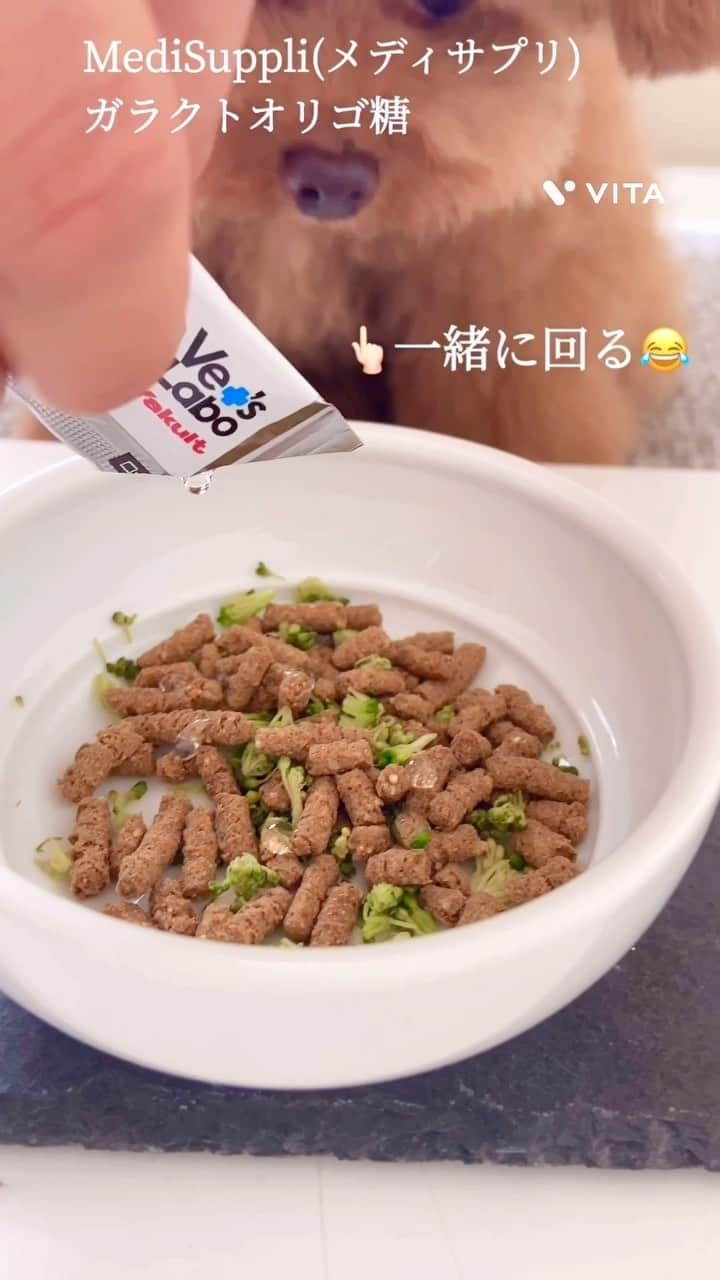 しらす先輩のインスタグラム