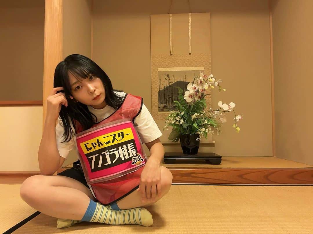 のインスタグラム：「座王、明日。  ▽関テレ「座王」 10/20(金)深夜0時55分  さあ、始めましょうか…  #にゃんこスター #アンゴラ村長 #座王」