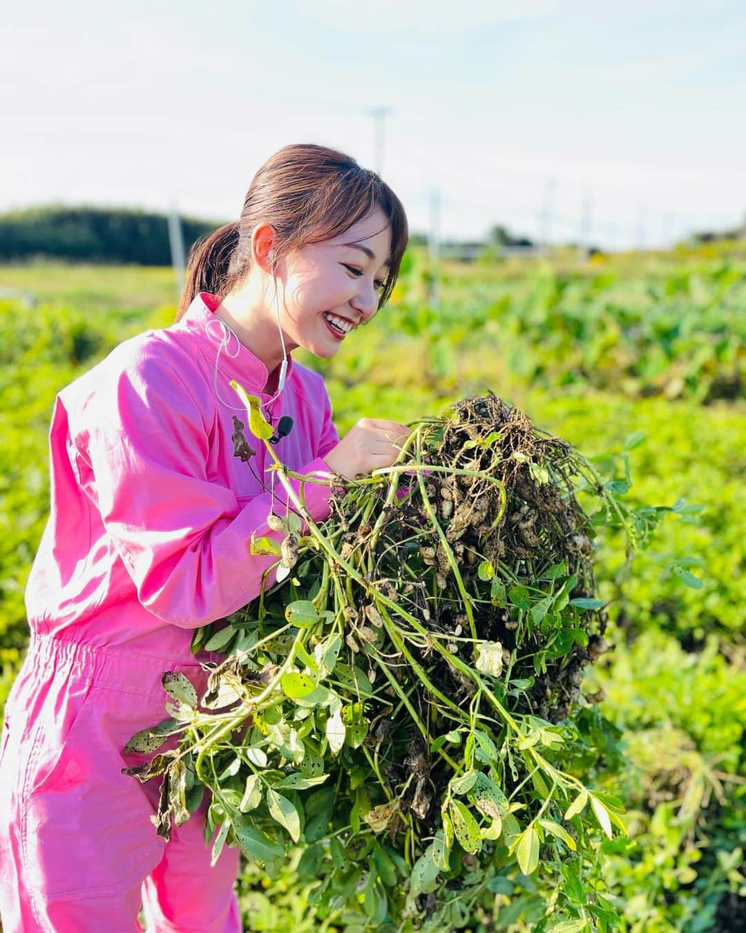 杉原凜さんのインスタグラム写真 - (杉原凜Instagram)「今朝は千葉県館山市にある田辺農園さんから、"おおまさり"という落花生をお伝えしました🥜 その大きさにびっくり！ お芋のようにホクホクでほのかな甘みも感じられて美味しかったです。塩ゆでや炊き込みご飯がおすすめだそうです〜🥜 ちなみに、ZIP!中継リポーターの間で代々受け継がれているピンク色のつなぎ衣装。私も今日ついにデビューしました😉✌️  #ZIP! #NOWニッポン #26 #落花生 #おおまさり」10月19日 19時15分 - sugihara_rin