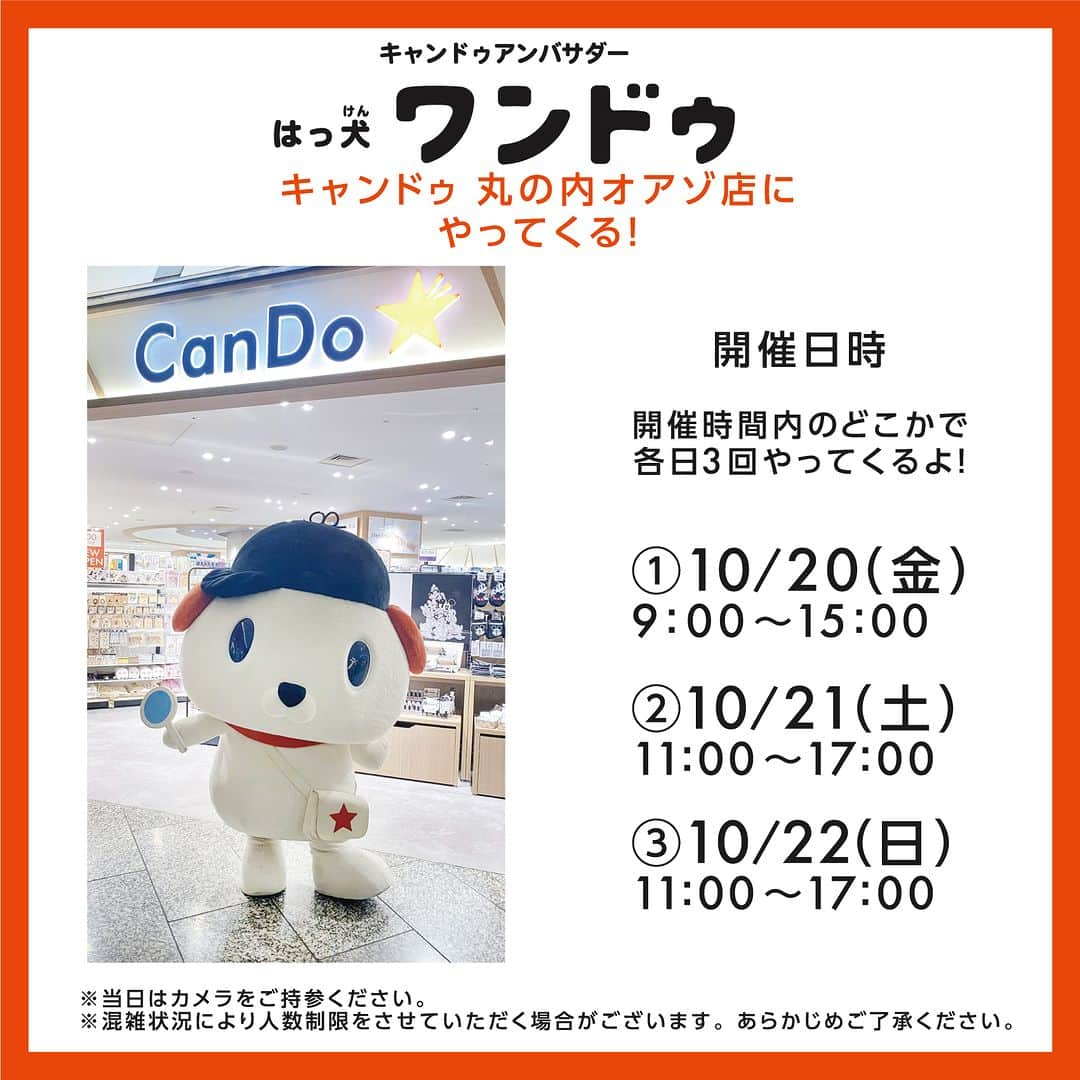 cando/キャンドゥさんのインスタグラム写真 - (cando/キャンドゥInstagram)「★キャンドゥ　丸の内オアゾ店OPEN★  キャンドゥアンバサダー　はっ犬ワンドゥが 丸の内オアゾ店にやってくる！ ワンドゥと一緒に写真を撮ろう！！」10月19日 19時15分 - cando_official