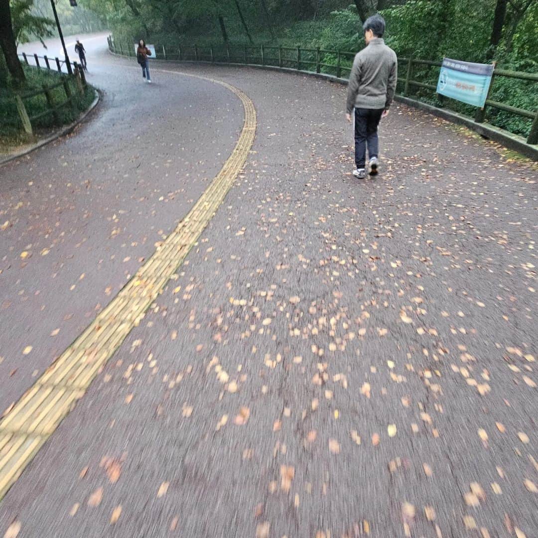 カン・ソグさんのインスタグラム写真 - (カン・ソグInstagram)「오늘 비 온뒤 남산에서 만난 사람들. 가을이 다가 온듯..」10月19日 19時16分 - river_stone_rain