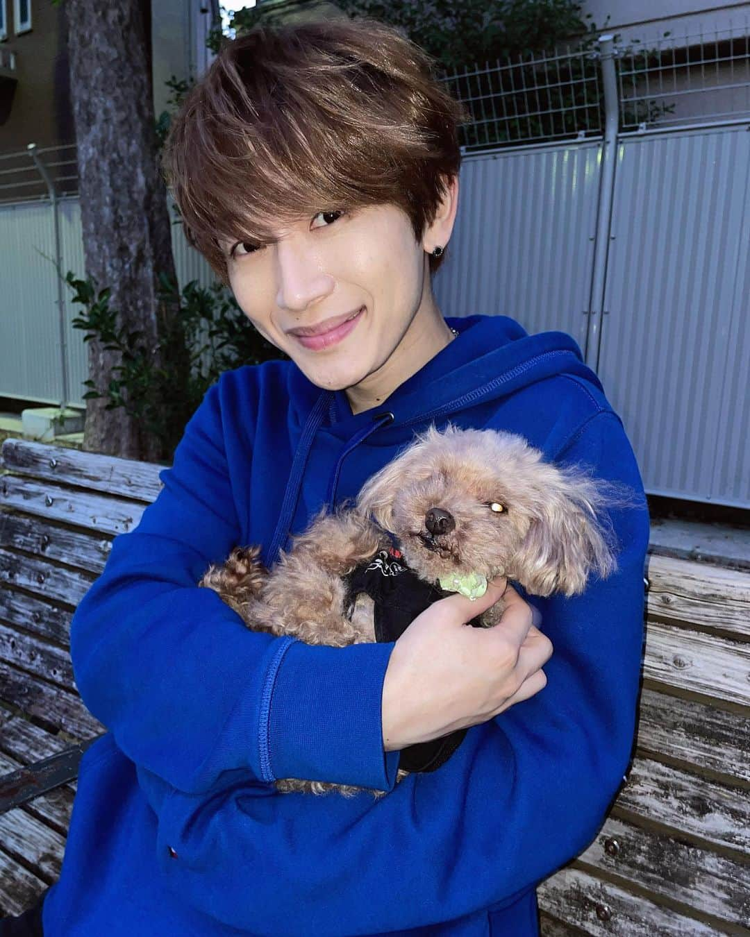 天野眞隆（ナオピー）さんのインスタグラム写真 - (天野眞隆（ナオピー）Instagram)「息子との散歩🐶💓 俺に似てめちゃくちゃ甘えん坊です。笑 ・ ・ ・ ・ ・ ・ ・ ・ ・ ・ #ootd#今日のコーデ#メンズファッション #冬服コーデ  #メンズライク#ポートレート #tommyhilfiger #メンズコーデ#メンズヘア#メンズヘアセット#nissy #nissyentertainment  #フェイスライン　#パーカーコーデ #パーカー男子 #トイプードル #ペット#息子」10月19日 19時35分 - naotaka.amano