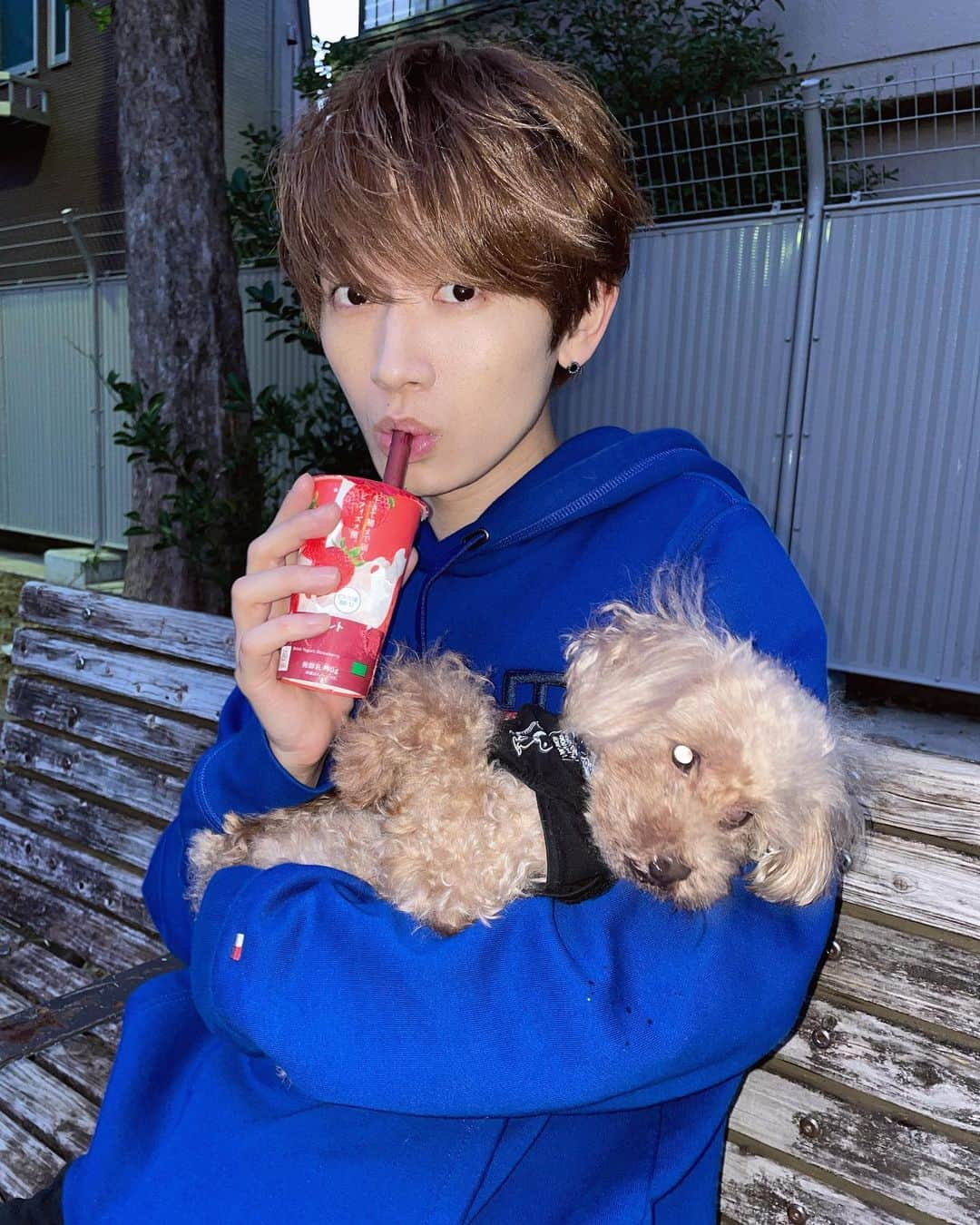 天野眞隆（ナオピー）のインスタグラム：「息子との散歩🐶💓 俺に似てめちゃくちゃ甘えん坊です。笑 ・ ・ ・ ・ ・ ・ ・ ・ ・ ・ #ootd#今日のコーデ#メンズファッション #冬服コーデ  #メンズライク#ポートレート #tommyhilfiger #メンズコーデ#メンズヘア#メンズヘアセット#nissy #nissyentertainment  #フェイスライン　#パーカーコーデ #パーカー男子 #トイプードル #ペット#息子」