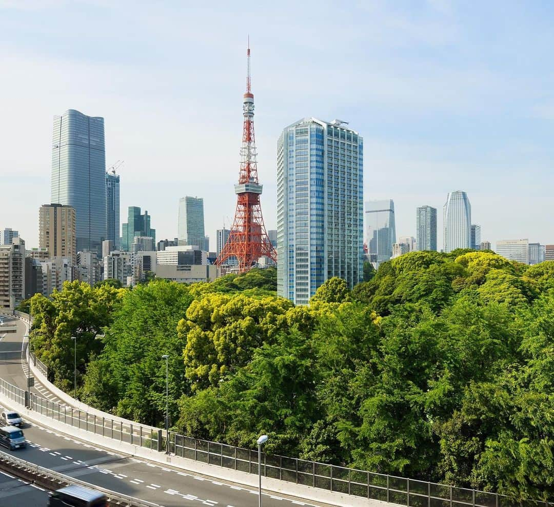 ザ・プリンス パークタワー東京のインスタグラム：「都心にありながら、豊かな自然に囲まれるザ・プリンス パークタワー東京。  The Prince Park Tower Tokyo is nestled in the bustling heart of the city, yet harmoniously enveloped in the embrace of nature 🌳  Share your own images with us by tagging @princeparktowertokyo —————————————————————  #theprinceparktowertokyo #tokyotower #ThePreferredLife #visittokyo #ザプリンスパークタワー東京 #絶景はプリンスにある #絶景ホテル」