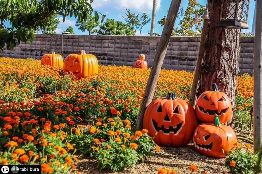 兵庫県のインスタグラム