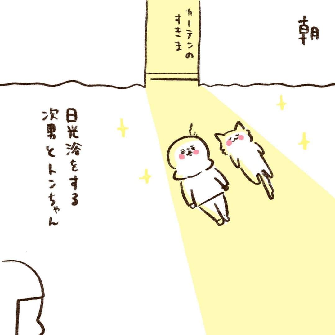 やまもとりえのインスタグラム：「美しかった」