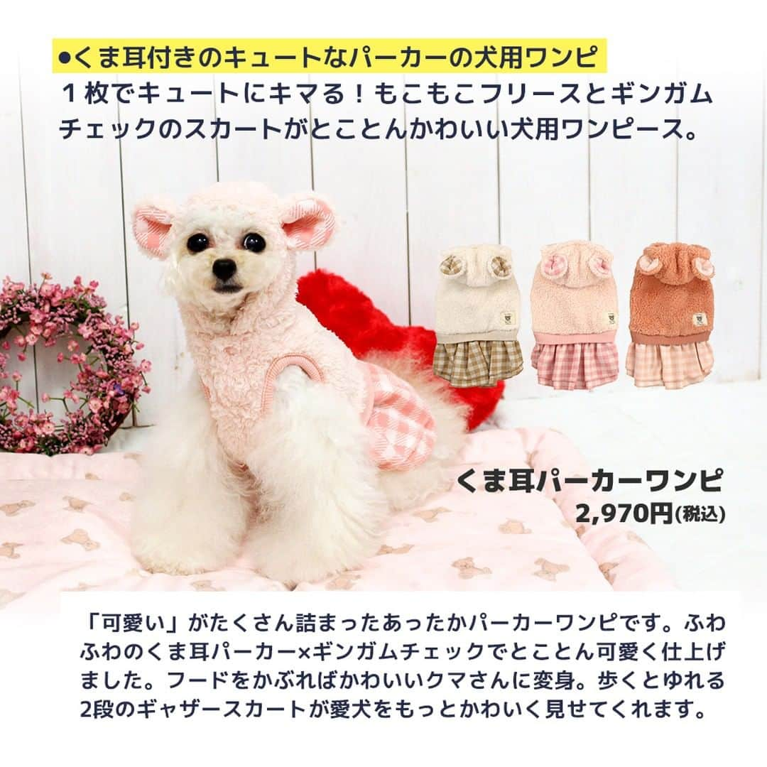 iDog&iCatさんのインスタグラム写真 - (iDog&iCatInstagram)「愛犬との暮らしをもっと楽しく快適に！ IDOG&ICATのお役立ちコラム随時更新中です♪  10月末はハロウィン、その後にはクリスマスや年末年始など、楽しいイベントが目白押し！ 本日は、そんなイベントが増える季節にオススメの愛犬との撮影に関しての記事をお届け！  【犬のカメラ目線をゲット！SNS映えするとっておきの写真を撮ろう】  SNSに愛犬の写真をアップしたいけれど、なかなかカメラ目線になってくれないと悩んでいる飼い主さんも多いと思います。 でもちょっとしたポイントを抑えれば誰でもカメラ目線の写真が撮影できるんです。  今回は誰でもカンタンにできる愛犬がカメラ目線になってくれる方法をご紹介します！  IDOG&ICATではワンちゃんとの撮影にオススメなコスチュームやおもちゃ、おやつをご用意しております。 是非、ワンちゃんとの暮らしにご利用ください♪  ●保存しておけばいつでも見返せて便利です♪  より詳しい内容はIDOG&ICAT公式サイトからご覧いただけます！ https://www.idog.jp/blog/2021/08/30/photographing/ 💡ストーリーやハイライトからもご覧いただけます！  #iDog #IDOGICAT #iCat #犬の服 #犬服 #ペットウェア #犬の服iDog #犬 #うちの子優勝 #わんすたぐらむ #dog #チワワ #トイプードル #ミニチュアダックス #柴犬 #ペット用品 #犬との暮らし #写真 #うちの子写真 #撮影 #記念写真 # #秋の散歩 #IDOGICATお役立ちコラム」10月19日 11時47分 - idogicat