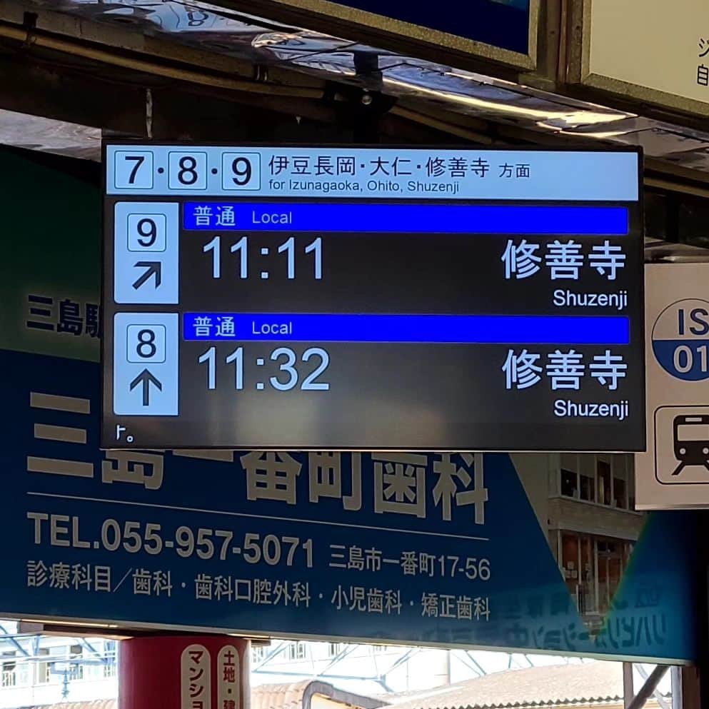 神取忍さんのインスタグラム写真 - (神取忍Instagram)「伊豆箱根鉄道×ラブライブ ラッピング電車に乗ってみましたー 三島から修善寺に行くのは いつも車なのですが、 出発時間が1111並びなので 初めて乗りましたー(^^) 大好きな場所で打ち合わせでしたが 着々と進んますよ、 報告を楽しみにしてて下さいね(^^) #伊豆箱根鉄道 #ラブライヴ #ラッピング電車  #出発  #修善寺  #プロレス #神取忍」10月19日 12時00分 - shinobukandori