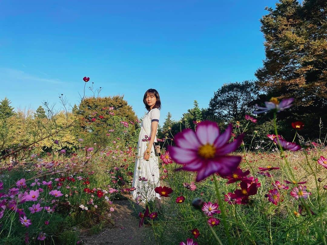 山口乃々華さんのインスタグラム写真 - (山口乃々華Instagram)「トンボが飛んでるいるのお分かりでしょうか」10月19日 12時18分 - yamaguchi_nonoka_official