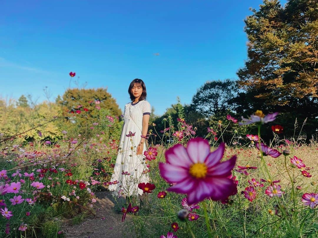 山口乃々華さんのインスタグラム写真 - (山口乃々華Instagram)「トンボが飛んでるいるのお分かりでしょうか」10月19日 12時18分 - yamaguchi_nonoka_official