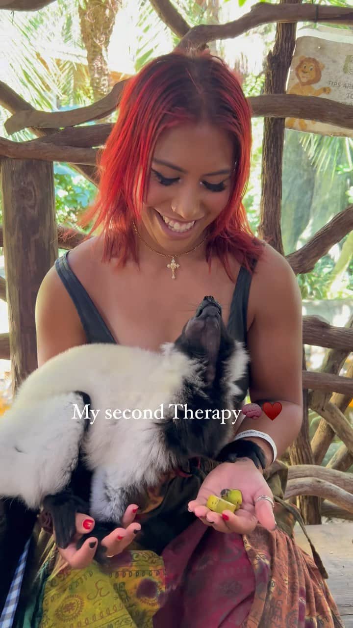 Zoological Wildlife Foundationのインスタグラム：「Animals are a gift from above for they truly bring us unconditional love. Such a beautiful encounter meeting you Julian♥️ @zwfmiami @mariowildlife  • • • #reelsvideo #wildlife #zwfmiami #animallover #beautiful #animals #lemur #explore #exploremore」