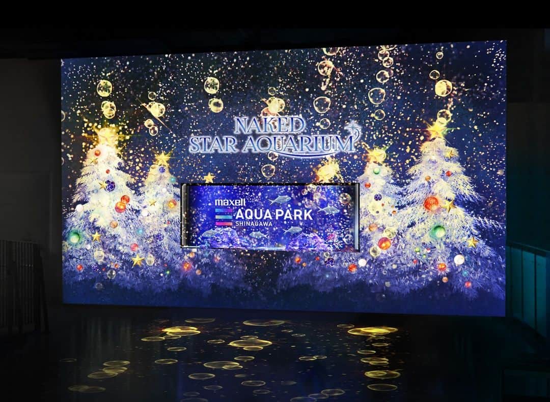 アクアパーク品川さんのインスタグラム写真 - (アクアパーク品川Instagram)「＼COMING SOON！／  2023年11月3日(金・祝)～12月25日(月)の期間、クリスマスイベント「NAKED STAR AQUARIUM」を開催🎄✨  プロジェクションマッピングで描いた無数の星やオーナメントが、空間を鮮やかに彩ります⭐ 夜のドルフィンパフォーマンスは、きらめきあふれる星空の海をイルカたちが舞うような、幻想的な舞台をお届け！  冬でも暖かい屋内で、アクアパークならではの海の世界のイルミネーションをぜひお楽しみください🐠✨  #NAKEDスターアクアリウム #クリスマス #イベント #christmas #クリスマスデート #イルミネーション #マクセルアクアパーク品川 #MaxellAquaParkShinagawa #アクアパーク #aquapark #アクアパーク品川 #aquaparkshinagawa #水族館 #aquarium #水族館デート #デート #お出かけ #冬 #あったかスポット #東京 #都内 #品川 #駅近 #東京観光 #屋内遊び場 #品川プリンスホテル #品プリ」10月19日 14時30分 - aquapark_official