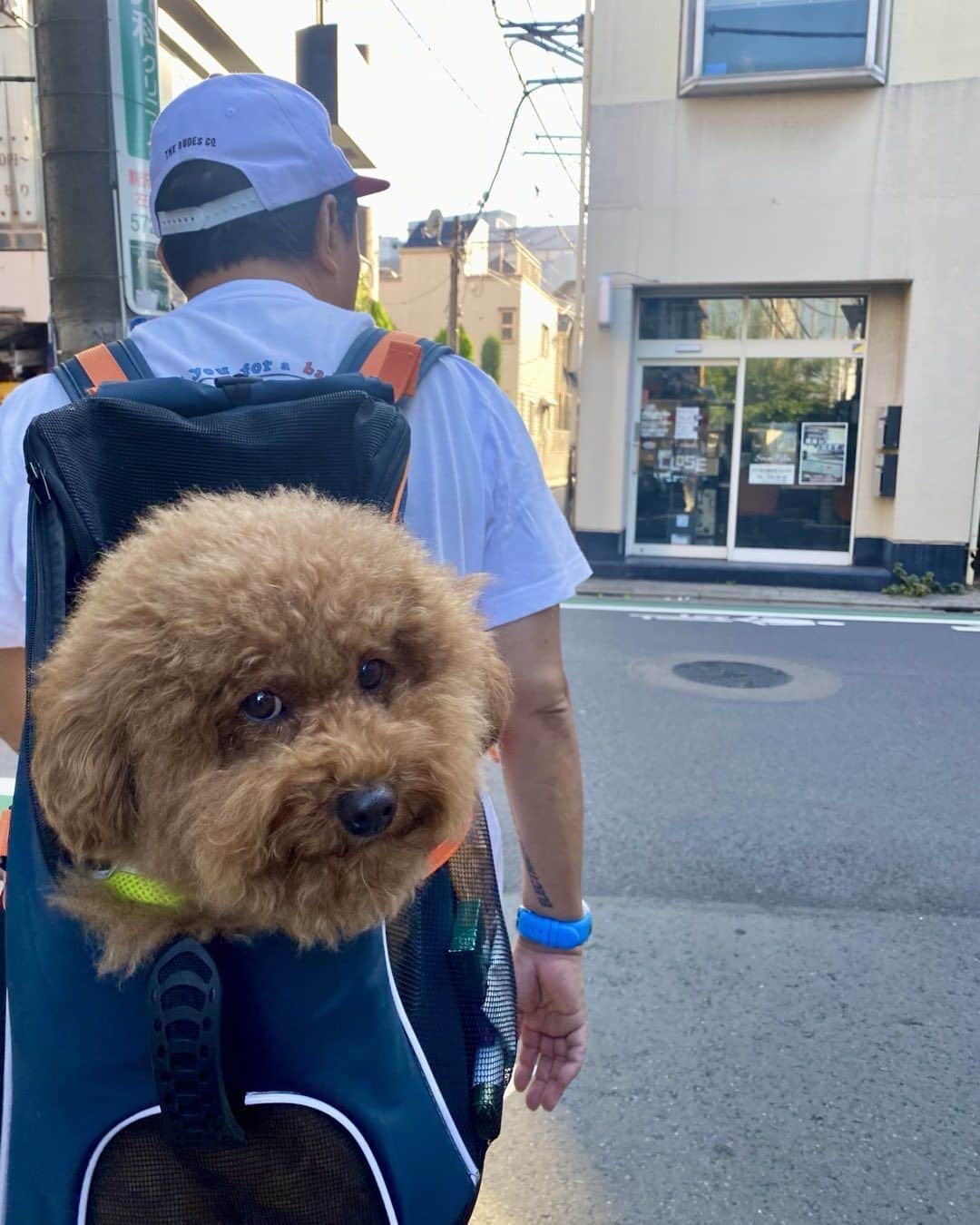 石野卓球のインスタグラム