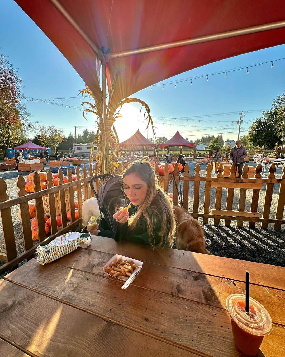 アレッサンドロ・シェプフさんのインスタグラム写真 - (アレッサンドロ・シェプフInstagram)「Enjoyed our first time at the pumpkin patch ! 🎃🍟🐐」10月19日 14時26分 - alessandroschoepf