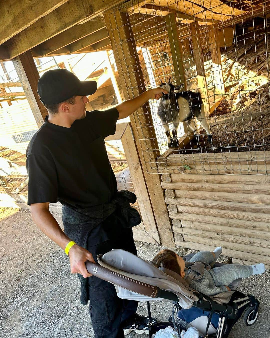 アレッサンドロ・シェプフさんのインスタグラム写真 - (アレッサンドロ・シェプフInstagram)「Enjoyed our first time at the pumpkin patch ! 🎃🍟🐐」10月19日 14時26分 - alessandroschoepf