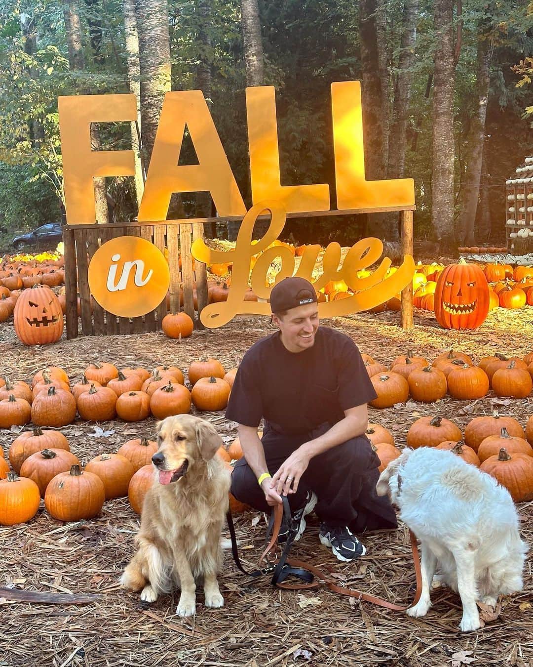 アレッサンドロ・シェプフのインスタグラム：「Enjoyed our first time at the pumpkin patch ! 🎃🍟🐐」